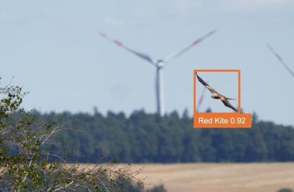 Effektiver Artenschutz und wirtschaftliche Lösungen durch Antikollisionssystem AVES (Foto: Manfred Stöber; Montage ProTecBird)