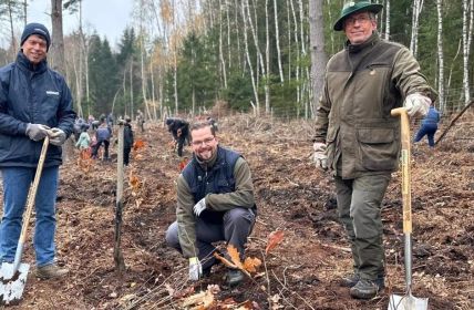 WEMAG pflanzt 12. Zukunftswald gegen Klimawandel und für (Foto: WEMAG AG)