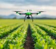 Effiziente Nutzung von Solar- und Windenergie durch Precision Farming (Foto: AdobeStock - 913576282 Pachara)